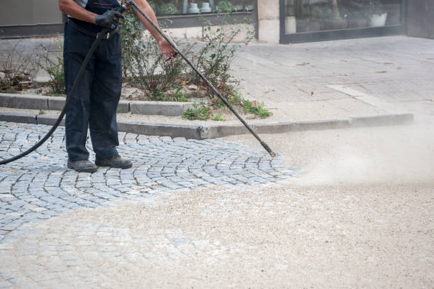 Best Gutter Cleaning  in Hoffman Estates, IL